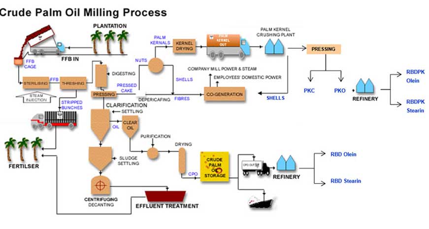 Small Scale Palm Oil Processing Plant flow chart