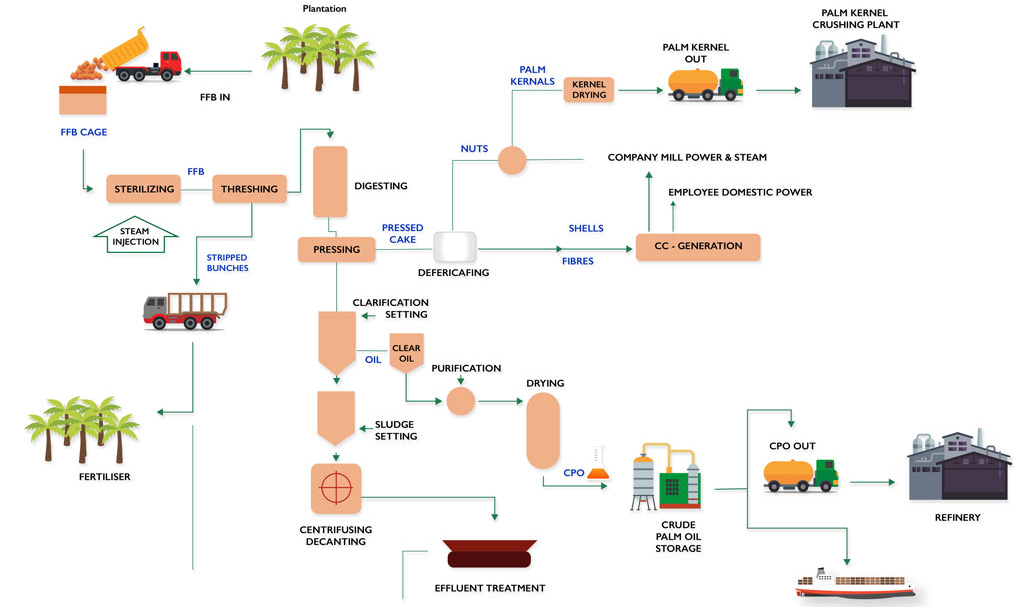 Palm Oil Production Line flow chart