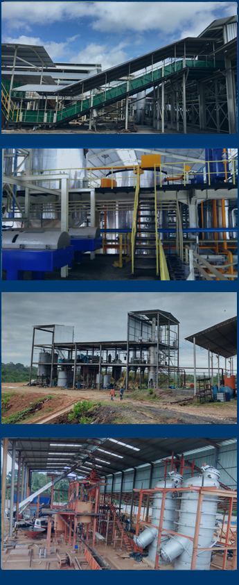 palm oil plant case around the world