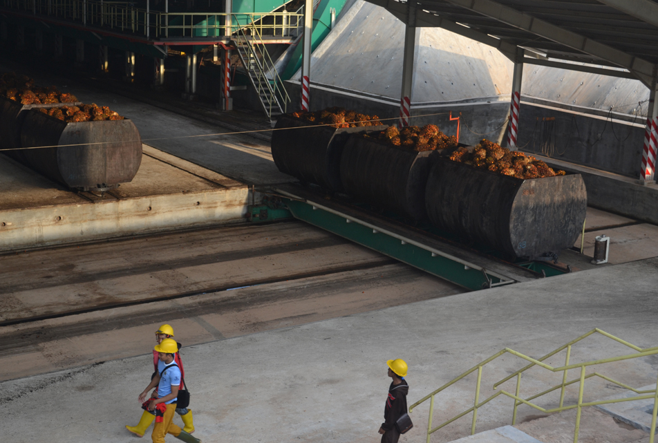 Palm Oil Processing Plant